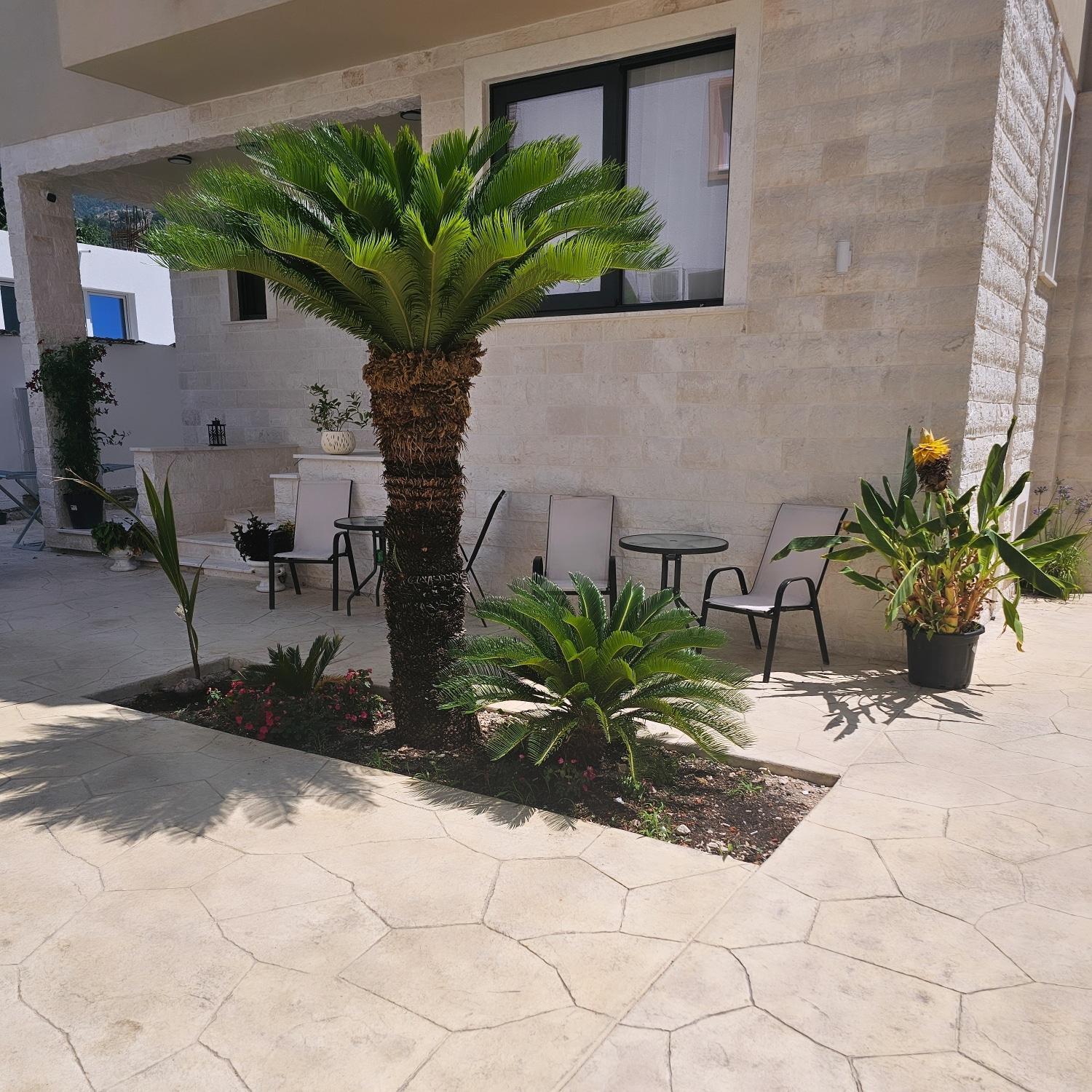 La Vida Apartments Budva Buitenkant foto